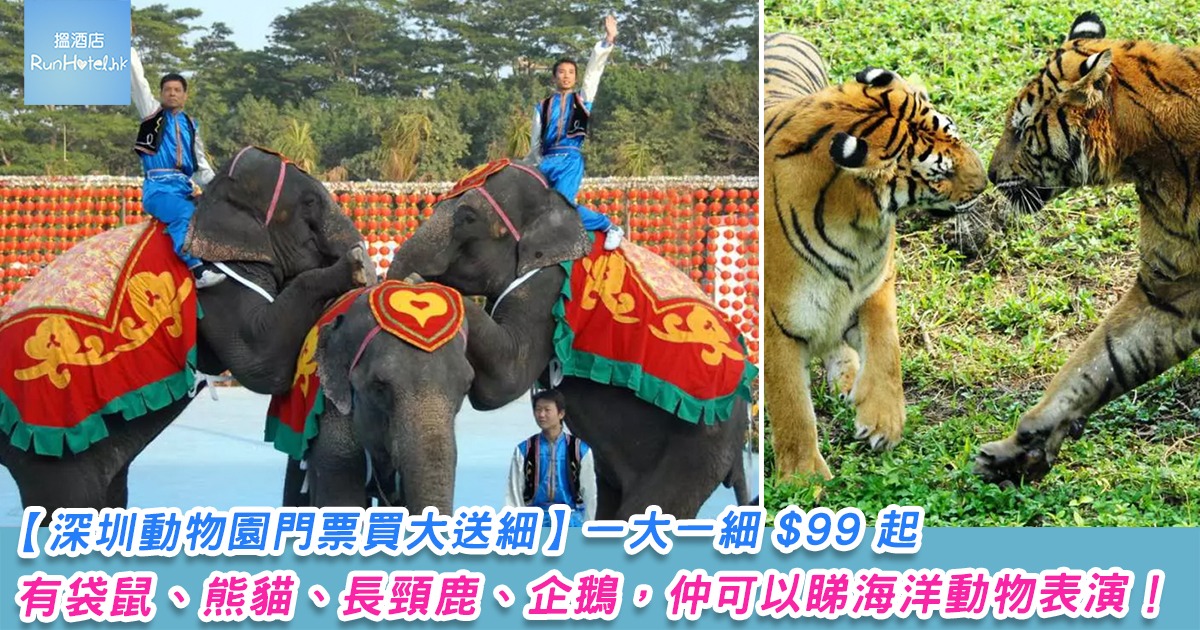 【深圳動物園買大送細】一大一細 HK$99 起，有袋鼠、熊貓、長頸鹿、企鵝，仲可以睇海洋動物表演！