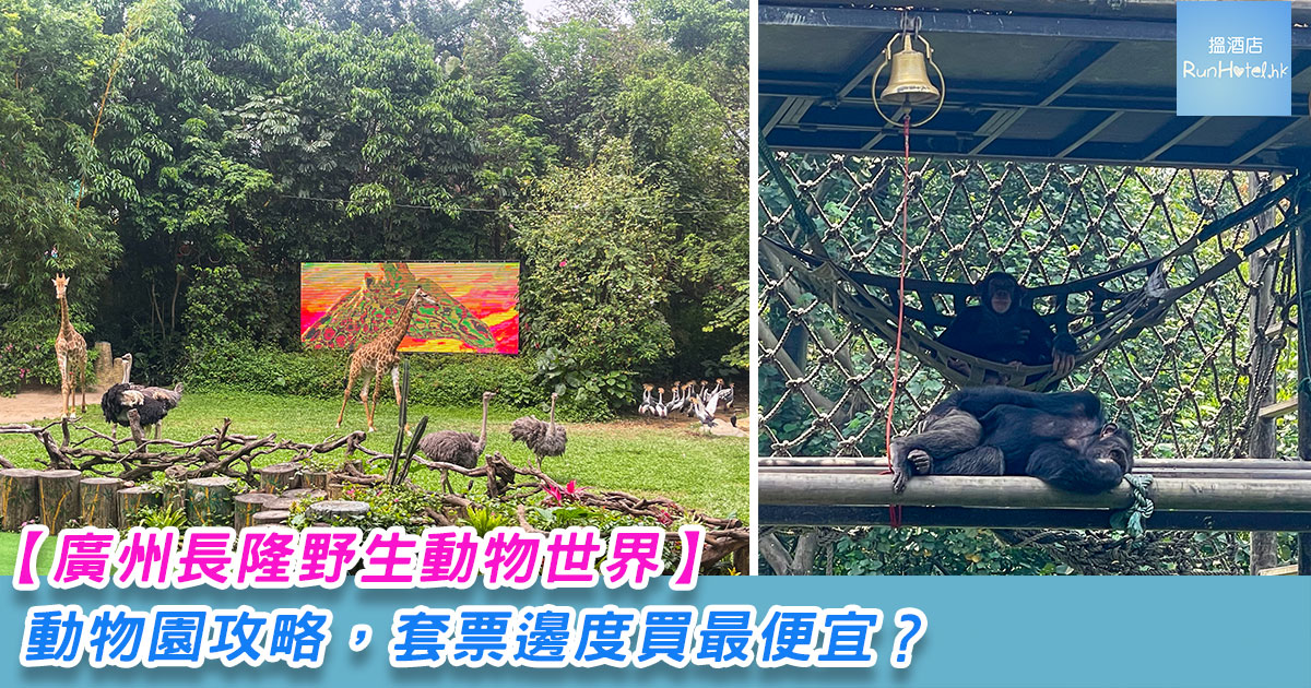 【廣州長隆動物園攻略】香港點去長隆最方便? 有咩動物睇?套票邊度買最便宜?