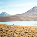south america