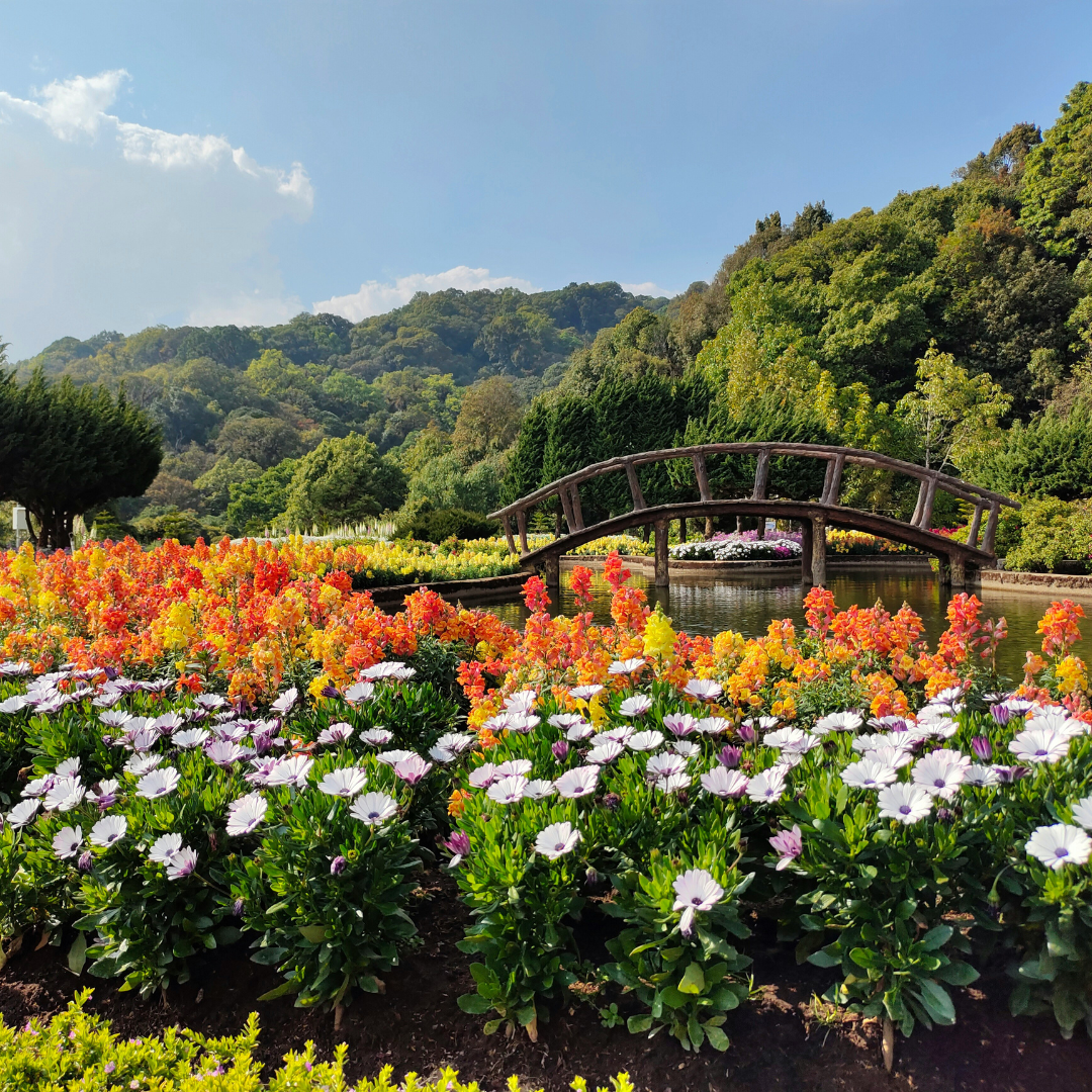 chiang mai