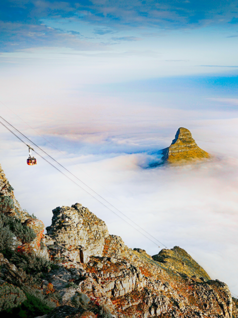 Cape Town