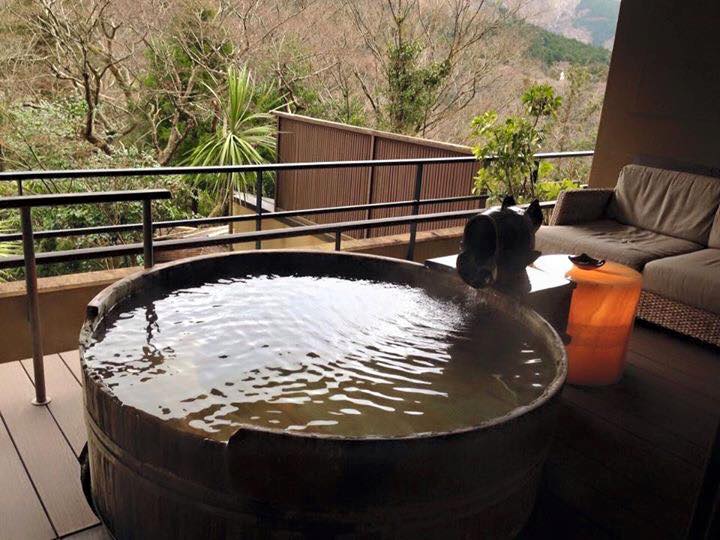 箱根吟遊 (1)