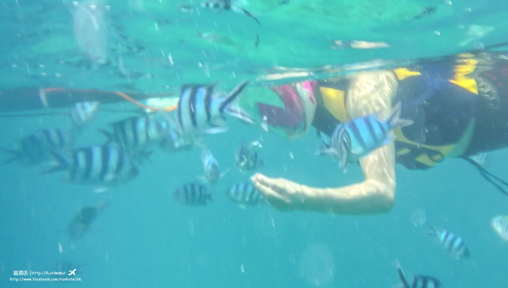 okinawa snorkeling (13)