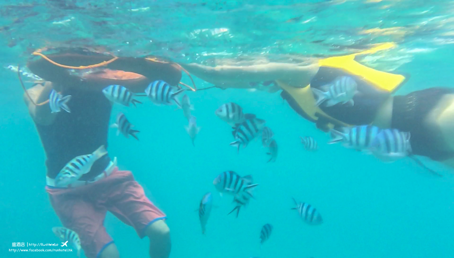 okinawa snorkeling (15)