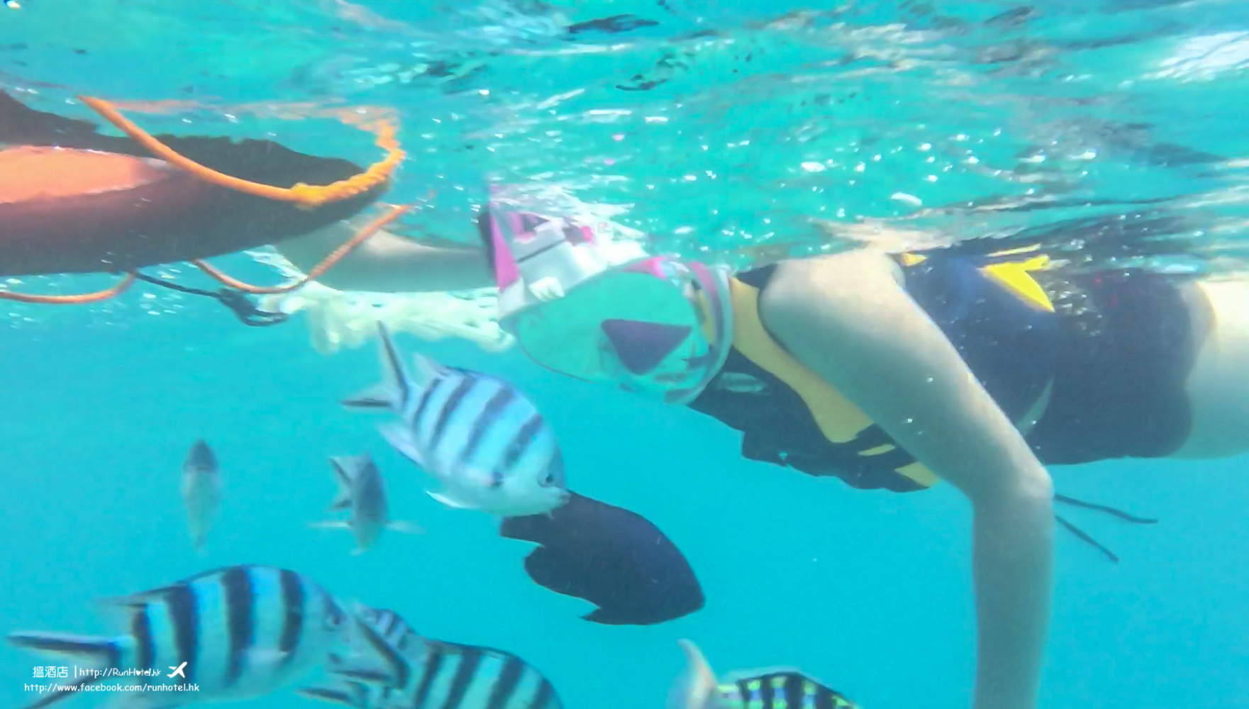 okinawa snorkeling (17)