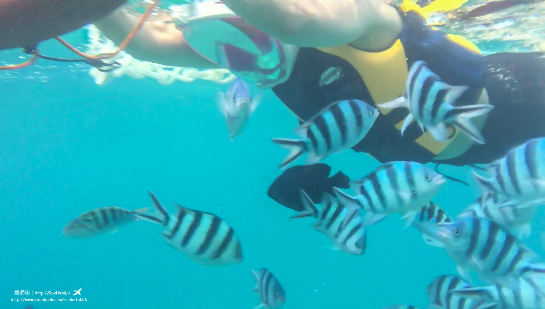 okinawa snorkeling (18)