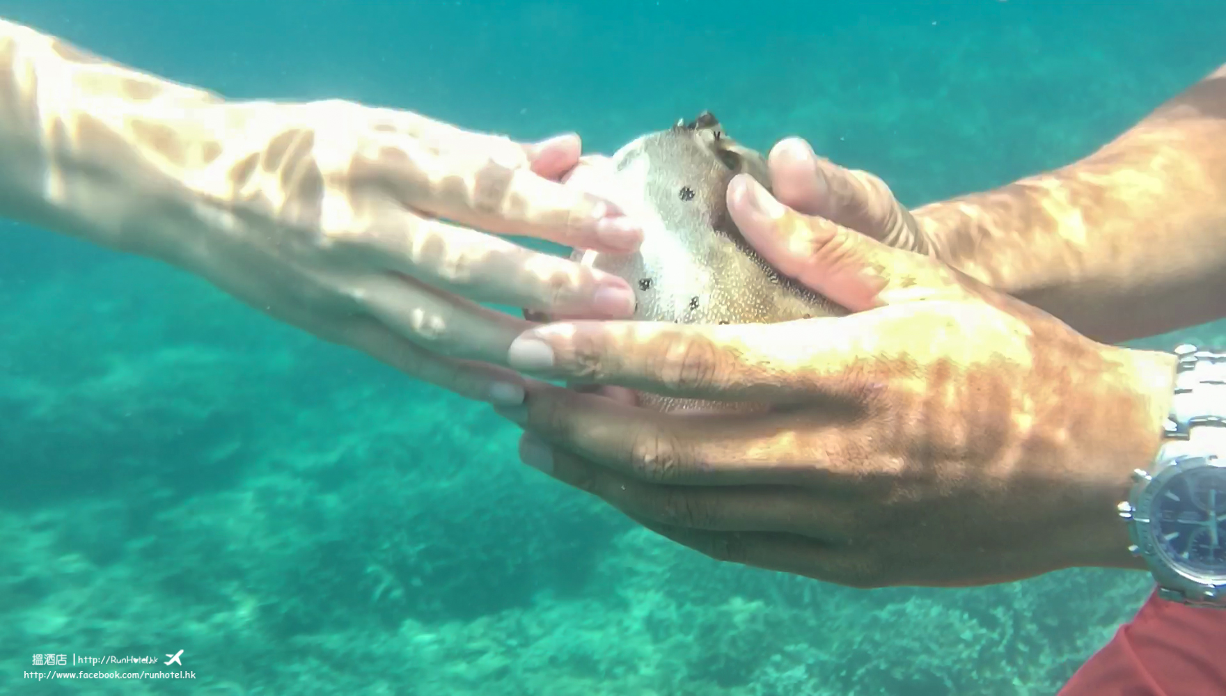 okinawa snorkeling (27)