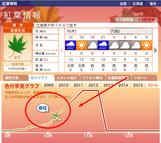 %e7%b4%85%e8%91%89ch%ef%bc%88%e5%8c%97%e6%b5%b7%e9%81%93%e5%a4%a7%e5%ad%a6%e3%82%a4%e3%83%81%e3%83%a7%e3%82%a6%e4%b8%a6%e6%9c%a8%ef%bc%89-%e3%82%a6%e3%82%a7%e3%82%b6%e3%83%bc%e3%83%8b%e3%83%a5