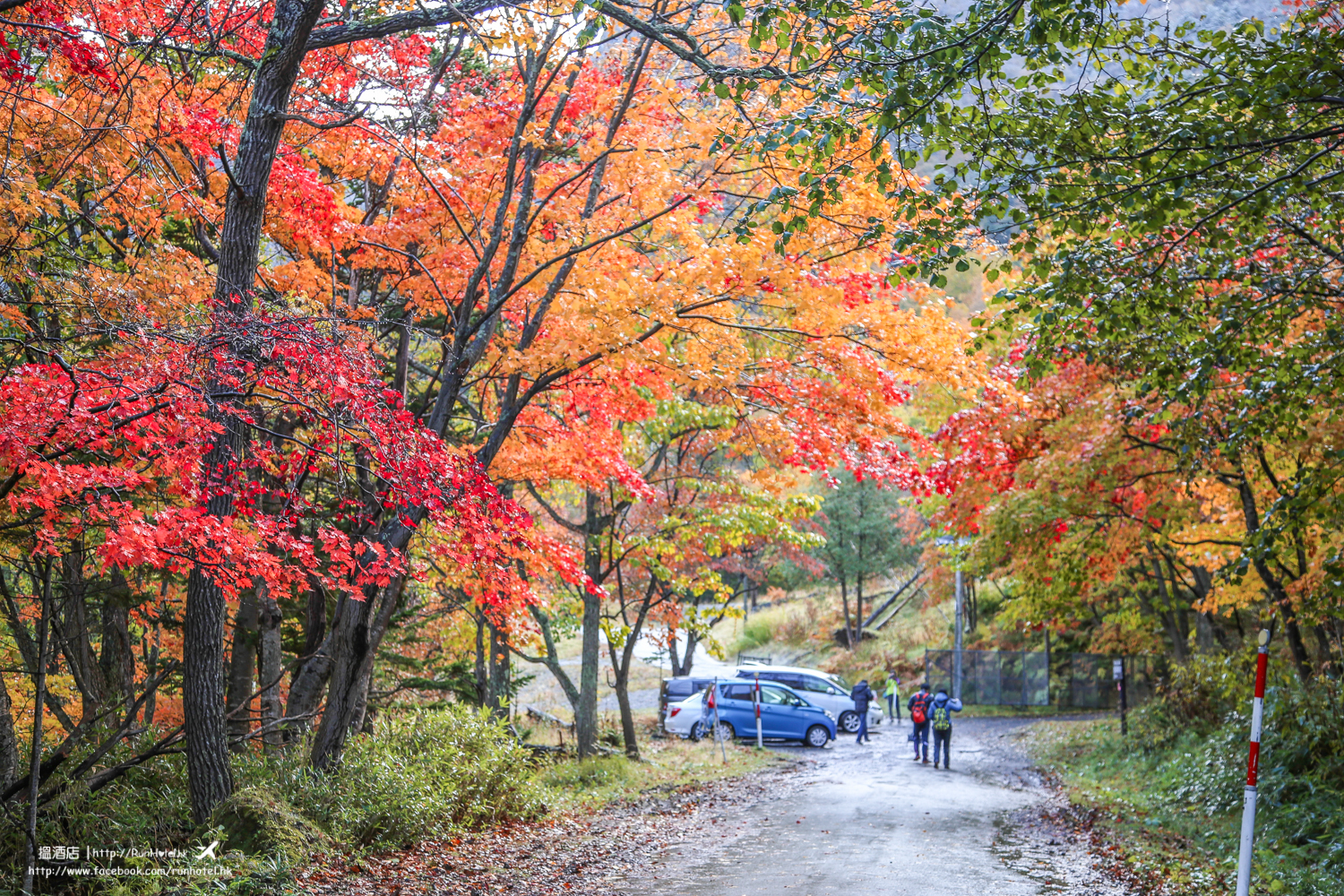 層雲峽紅葉谷紅葉