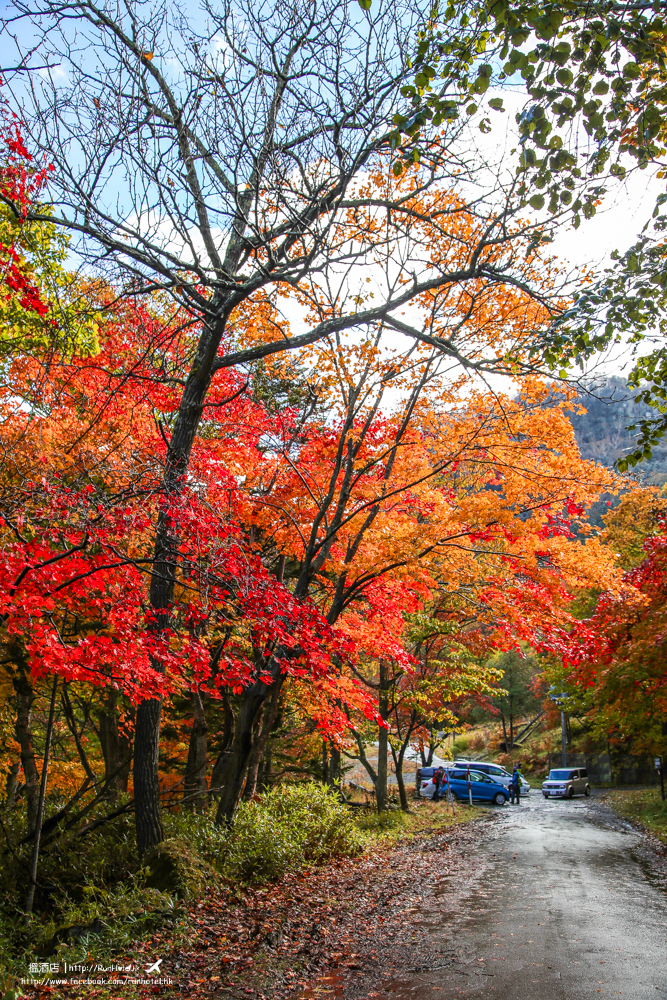 層雲峽紅葉谷紅葉