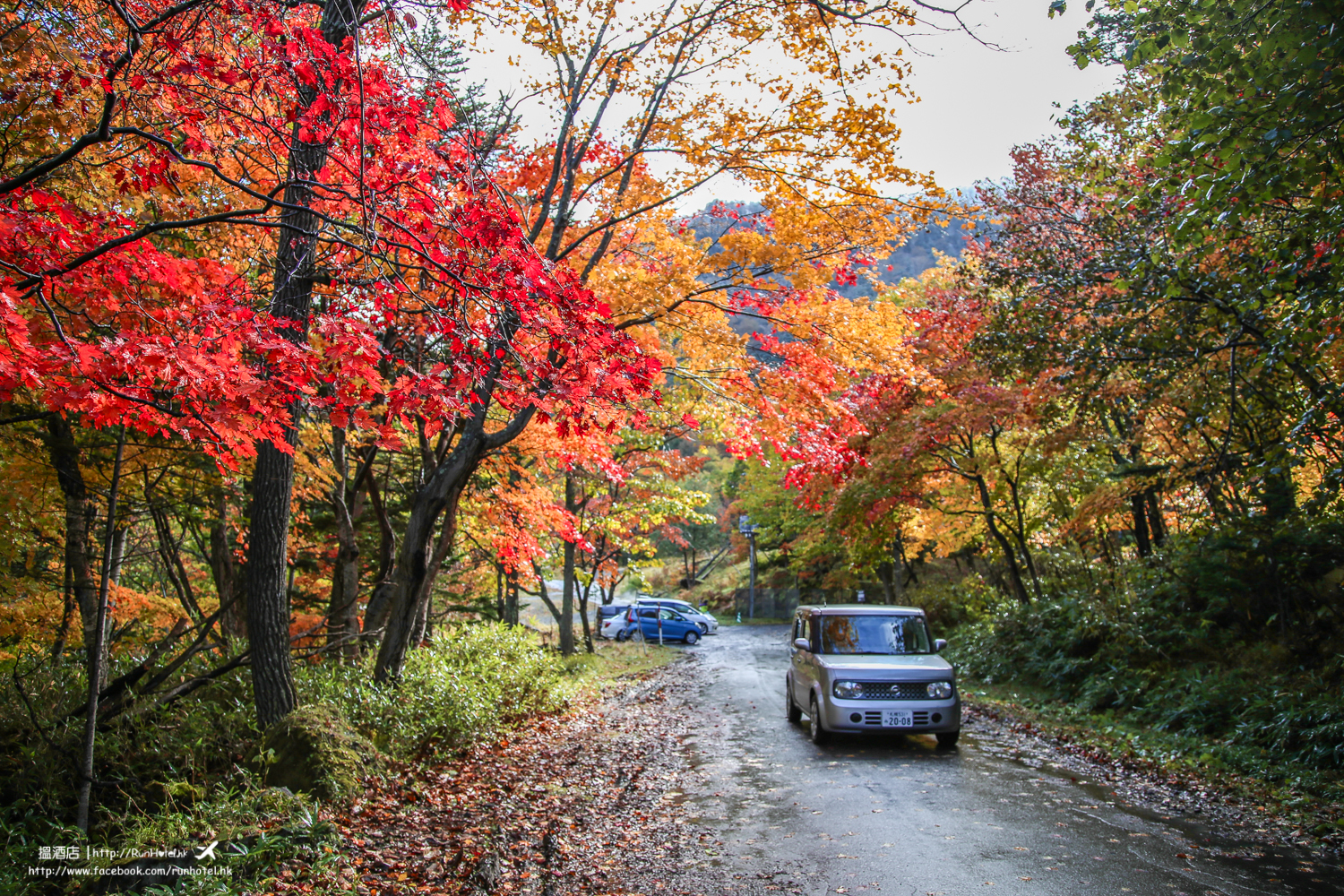 層雲峽紅葉谷紅葉