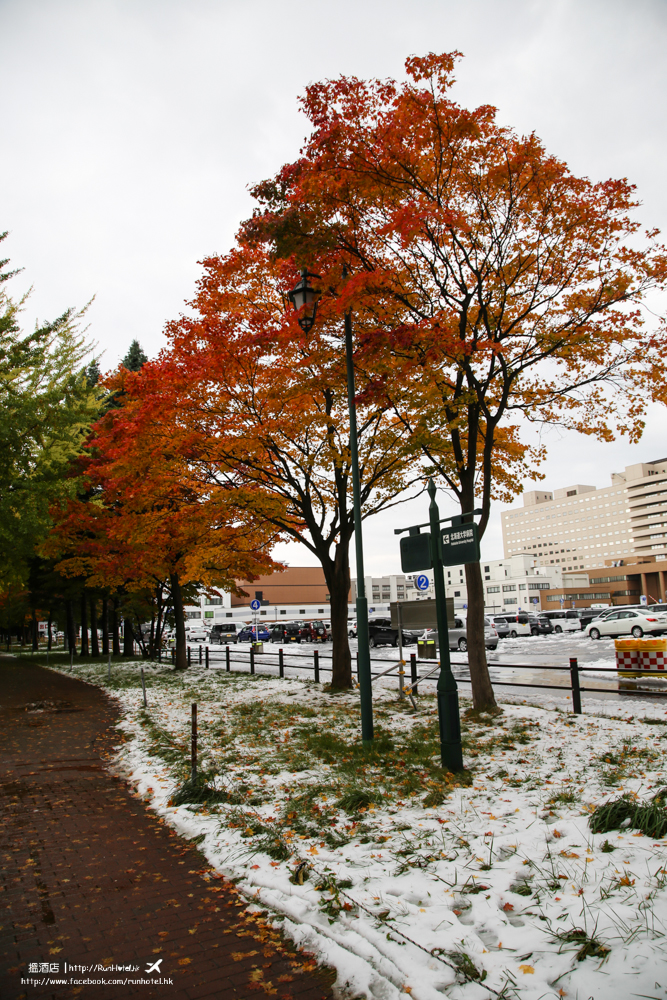 北海道大學