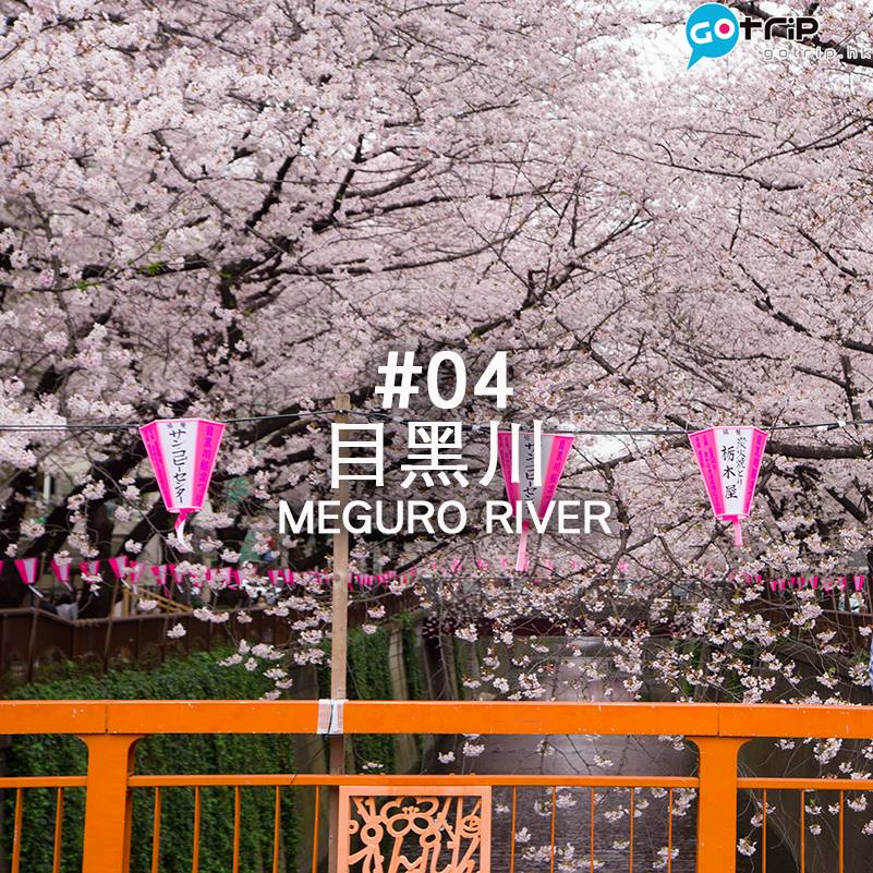 東京 10 大賞櫻地點推介 (1)