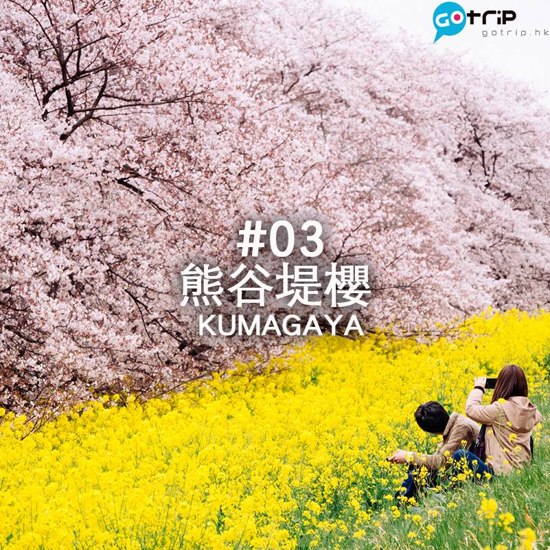 東京 10 大賞櫻地點推介 (10)