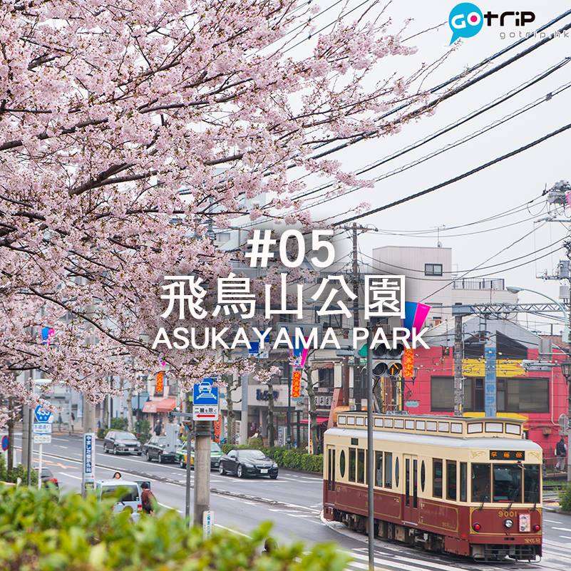 東京 10 大賞櫻地點推介 (2)
