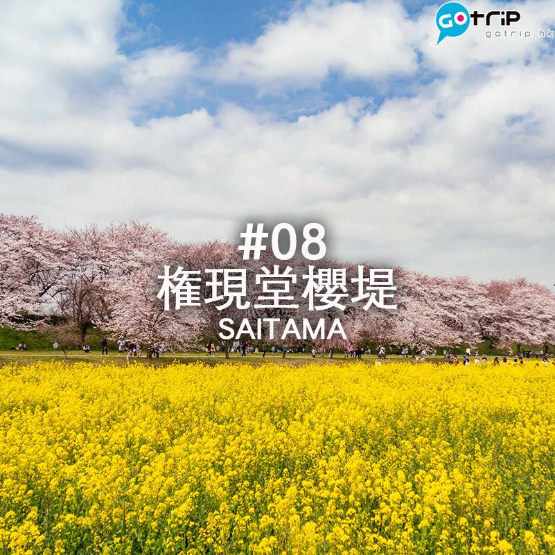 東京 10 大賞櫻地點推介 (4)