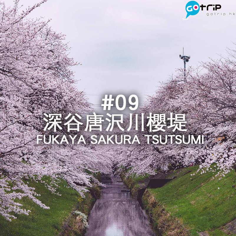 東京 10 大賞櫻地點推介 (5)