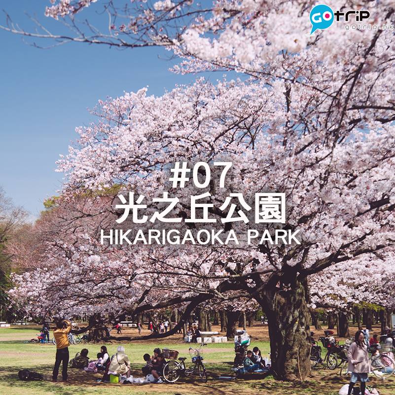 東京 10 大賞櫻地點推介 (9)