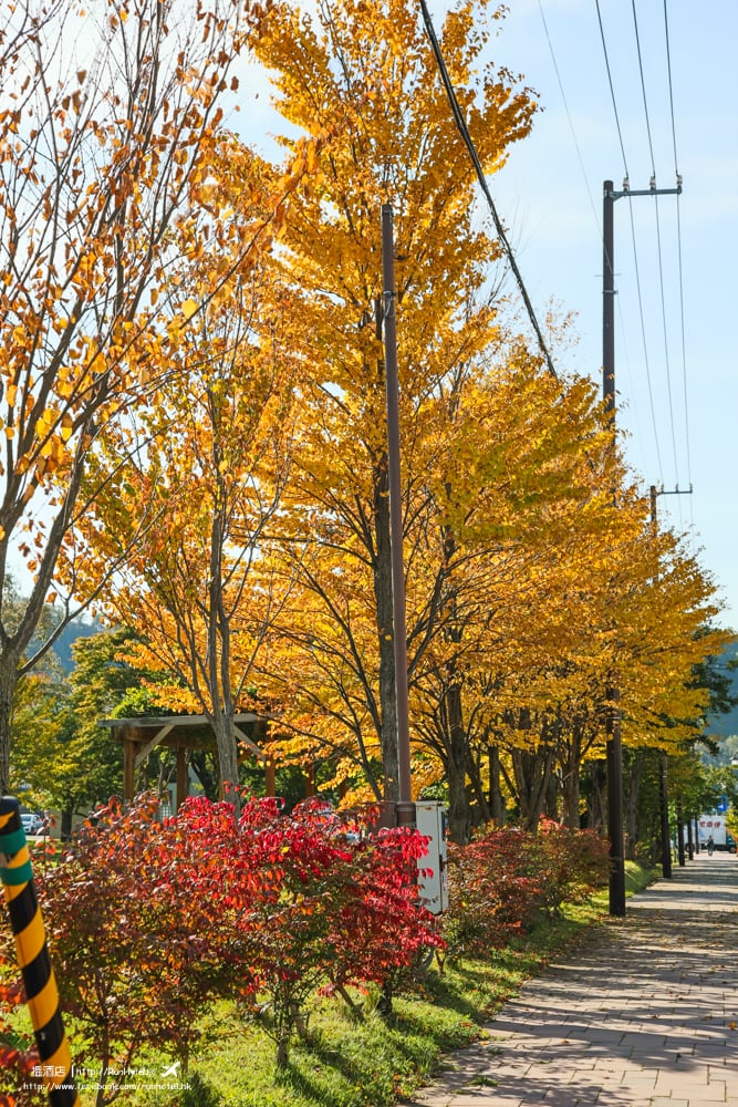 洞爺湖紅葉溫泉之旅 北海道遊記day 5 Runhotel 搵酒店