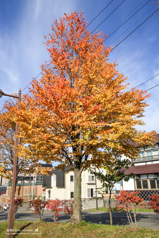 洞爺湖紅葉溫泉之旅 北海道遊記day 5 Runhotel 搵酒店