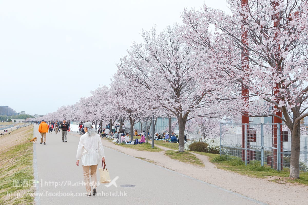 sayamaike sakura (14)