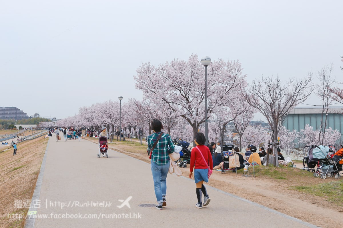 sayamaike sakura (29)