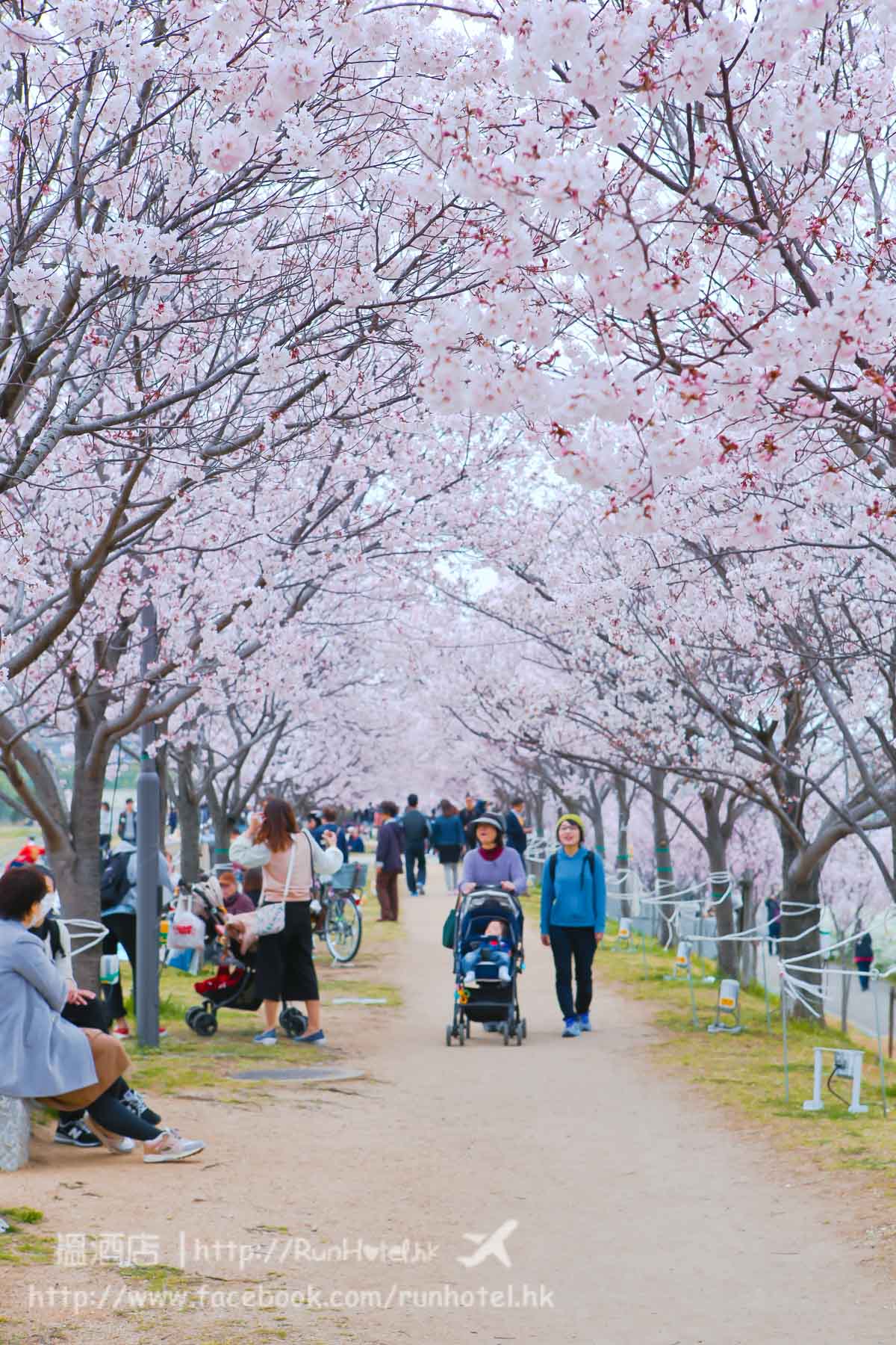 sayamaike sakura (32)