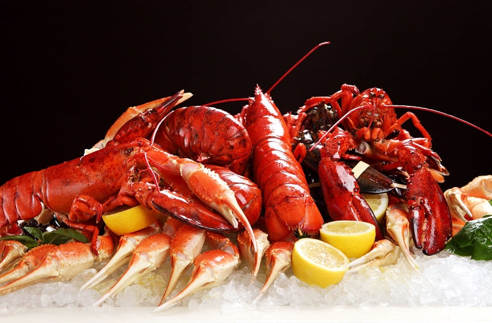 seafood, lobster
