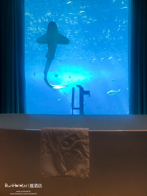 三亞亞特蘭蒂斯酒店水底套房 (23)