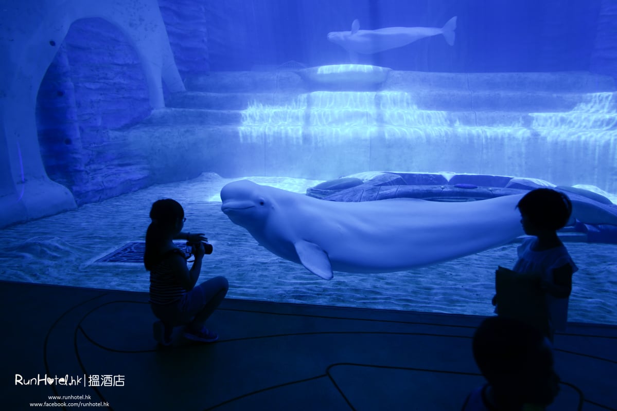 失落的空間水族館