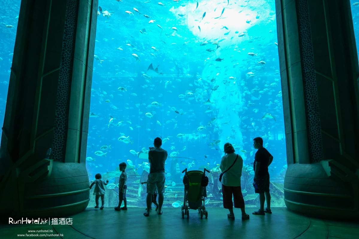 失落的空間水族館