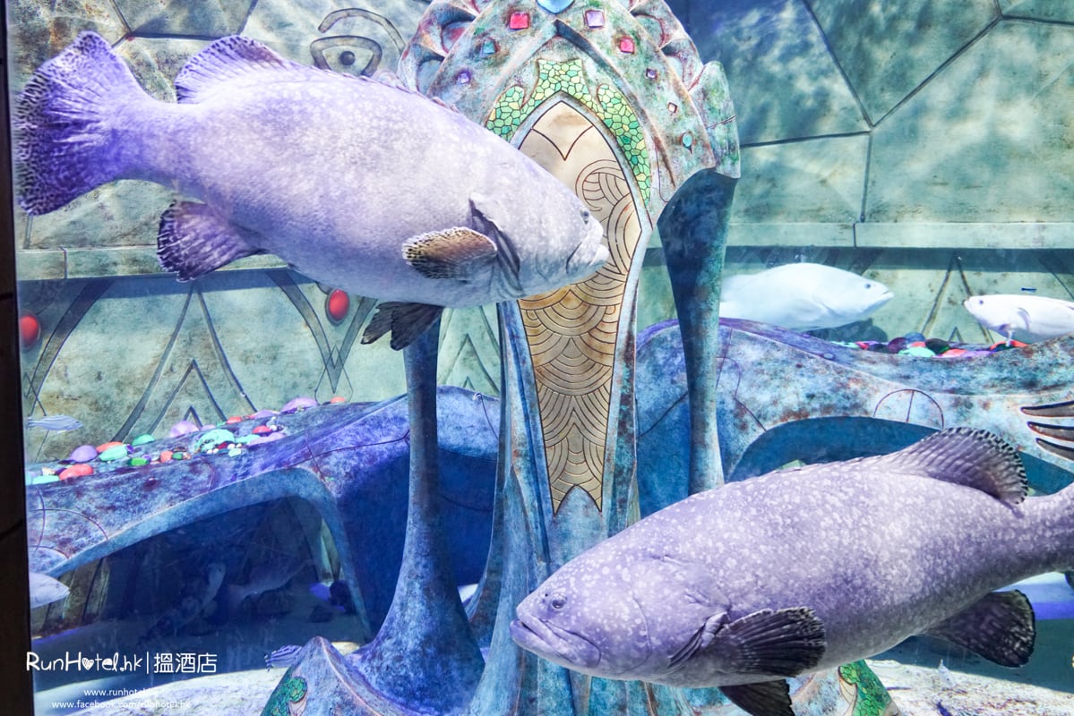 失落的空間水族館