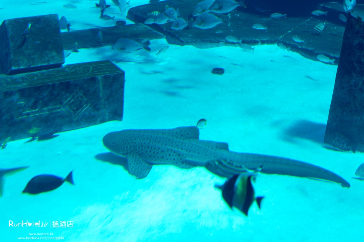 水族館