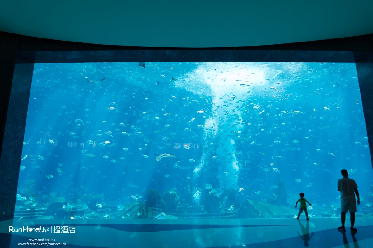 水族館