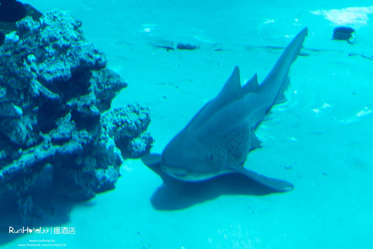 水族館