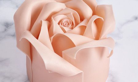 粉紅玫瑰蛋糕