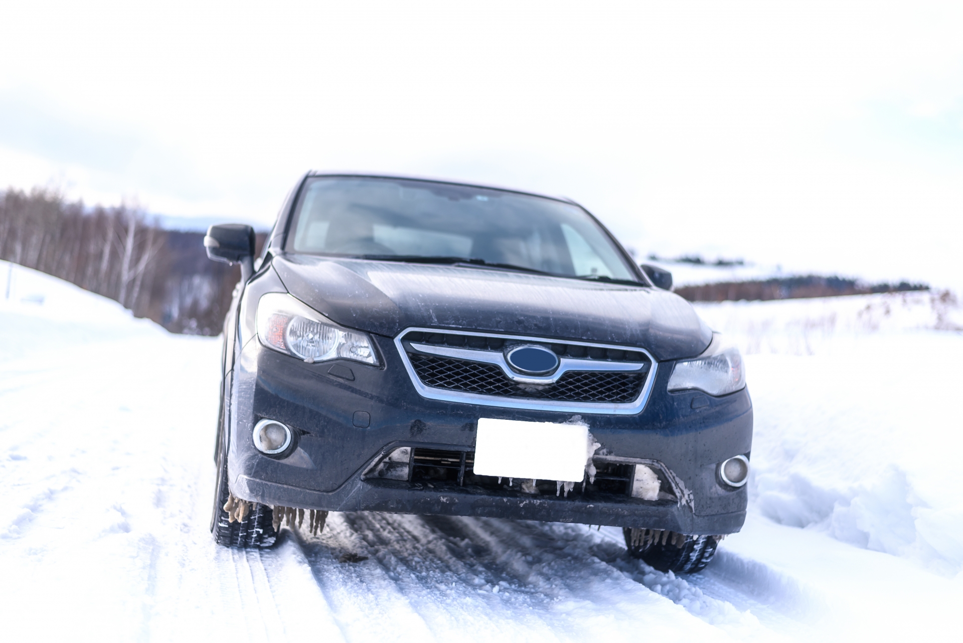 Driving on Snowy Roads 3.jpg